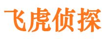 民和市婚姻调查